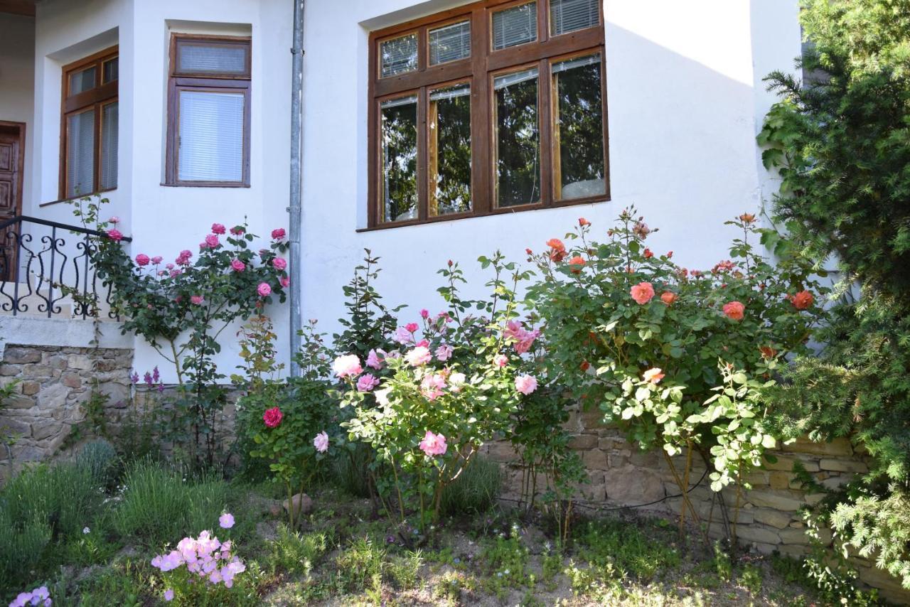 Guest House Astra 알바나시 외부 사진